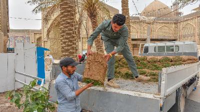 واحات خضراء جديدة تزدهر في الحرم الشريف